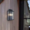 Lutec Holly Outdoor Wall Lantern - Black