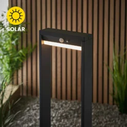 Dannah 50cm Photocell & PIR Solar Outdoor Floor Light - Black -Home Lighting 13794248 1014957105552293