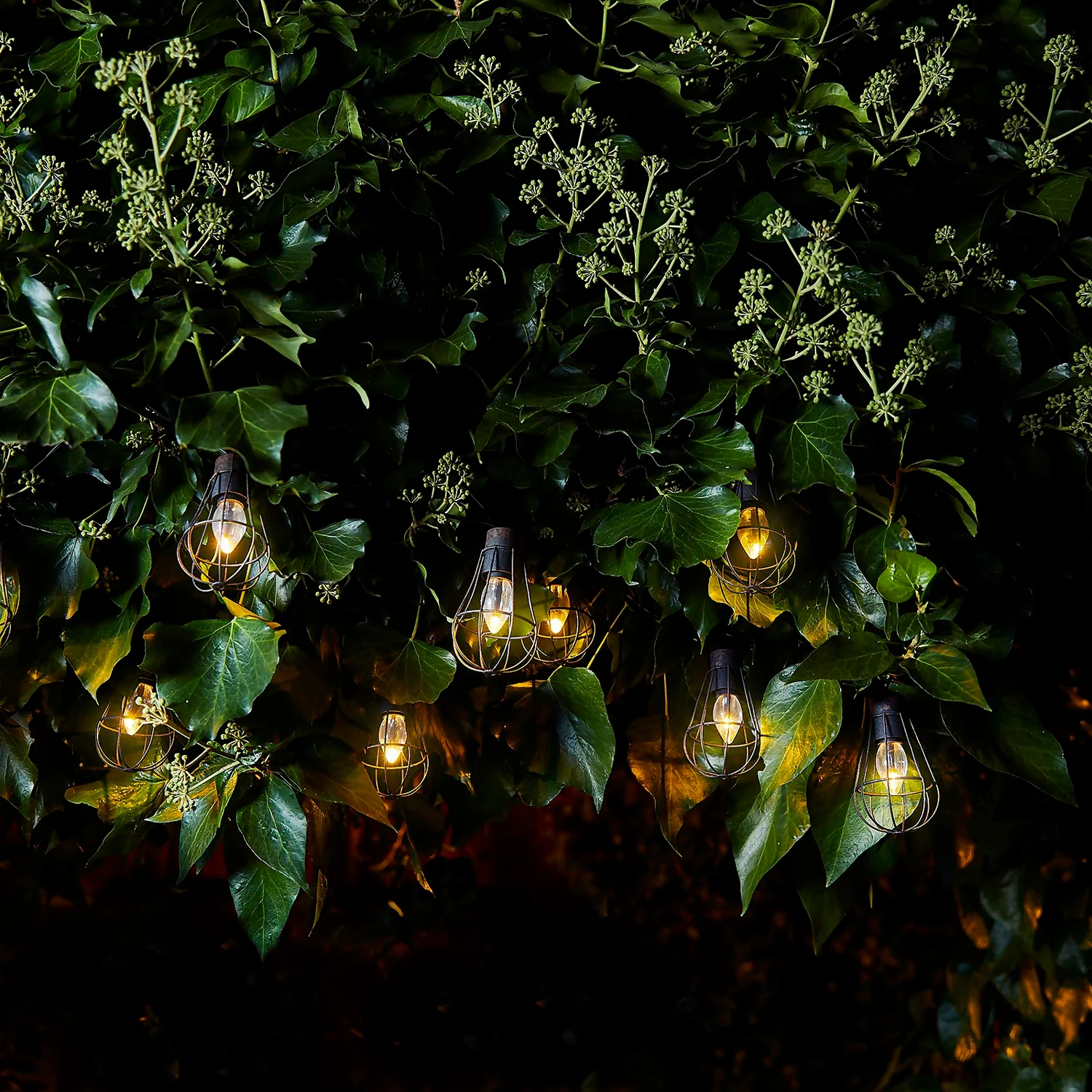 Homebase Edit 10 Metal Solar Cage Lights 1 Homebase Edit 10 Metal Solar Cage Lights