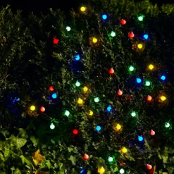 Homebase Edit 50 Solar Berry Lights